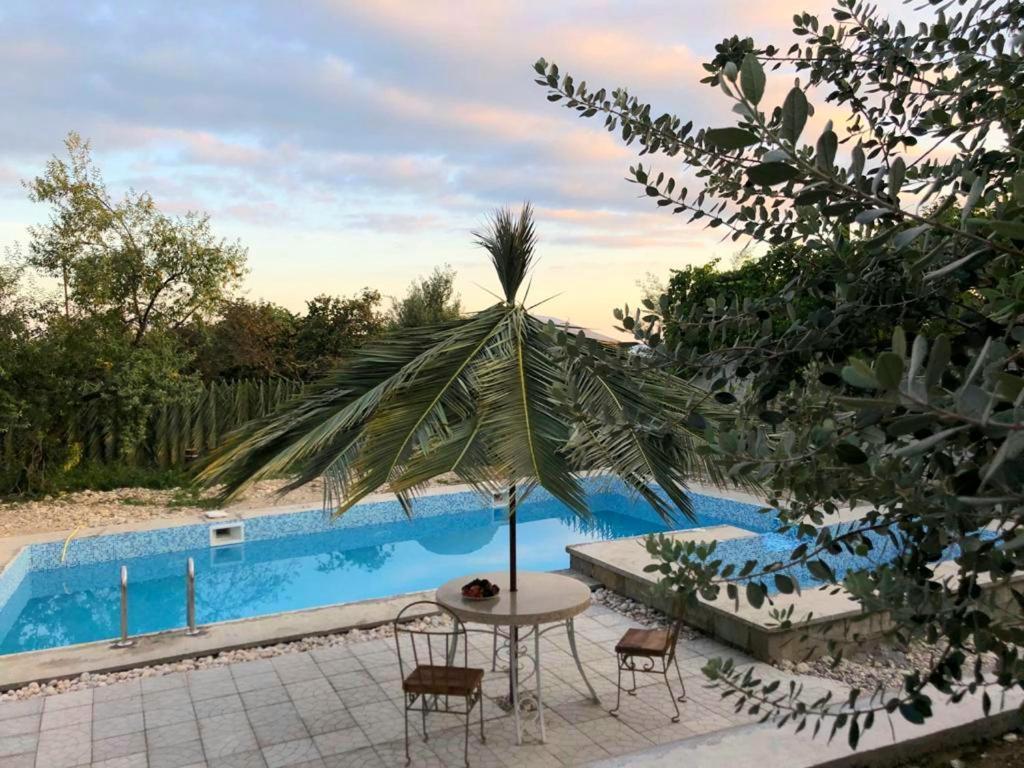 Villa Familia New Athos Extérieur photo